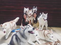 -TrueLove @ Neverland (Husky Cafe)