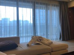 -仁恒辉盛阁酒店公寓