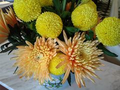 -南堂馆·新川菜(春熙路店)