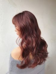 点击看大图 -金棕榈