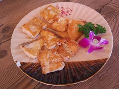 -红叶日料·放题·海胆·定食(星海店)
