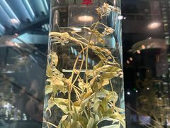 -广东中医药博物馆