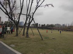 -府河摄影公园