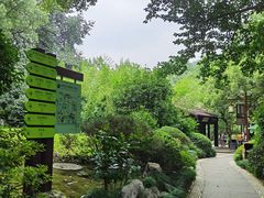 -中国茶叶博物馆(双峰馆区)