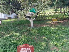 -北京西山国家森林公园