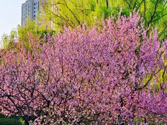 -白塘生态植物园