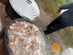 -贡格尔草原