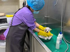 -北京观赏动物医院·24小时大型综合·猫专科·异宠专科