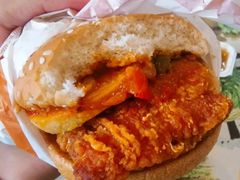 大盘鸡风味麦辣鸡腿汉堡-麦当劳(虹梅路地铁站店)