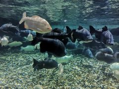 -成都浩海立方海洋公园