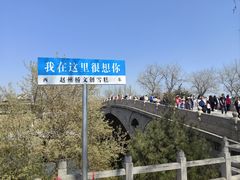 -赵州桥景区