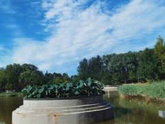 -大望京公园