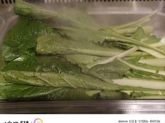 -成老灶火锅鸡(平山店)