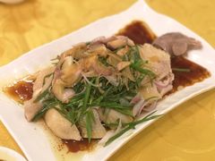 葱油淋鸡-粤·向群饭店(泮塘路店)