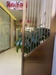 点击看大图 -贵阳美莱医疗美容整形医院
