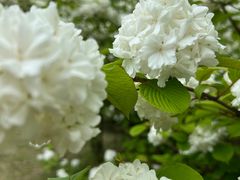 -白塘生态植物园