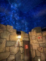 -翱翔飞越地平线