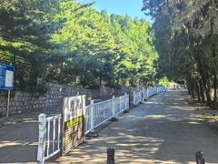 -北京十三陵国家森林公园蟒山景区