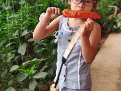 -万源龙顺度假庄园生态观光园