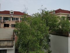 -上海市静安区图书馆(新闸路馆)