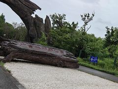 -广富林郊野公园