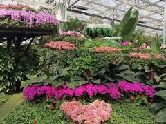 -兰陵国家农业公园