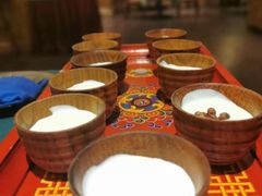 -松赞拉萨林卡酒店