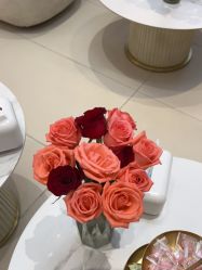 点击看大图 -WENDY·温迪皮肤管理