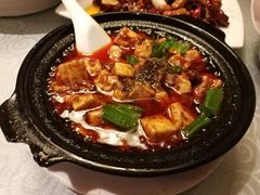-陈麻婆豆腐总店
