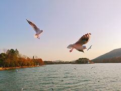 -长广溪湿地公园