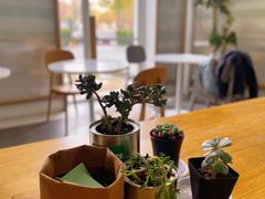 -Green Option(官舍店)