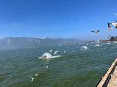 -巧克力渔家.小船海鲜胶东菜(万平口店)