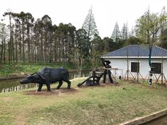 -上海长兴岛郊野公园