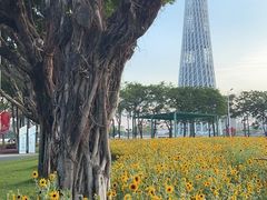 -海心沙亚运公园