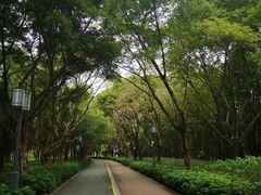 -顺峰山公园