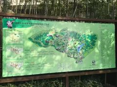 导游图-成都大熊猫繁育研究基地