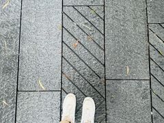 -西湖公园(鼓楼区)