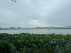 -湖畔居茶楼(湖滨店)