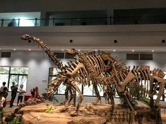 -自贡恐龙博物馆