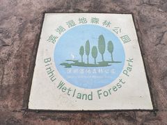 -合肥滨湖国家森林公园