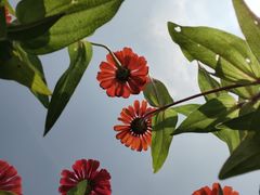 -山明水秀大饭店