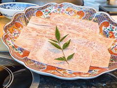 -然锅料理