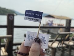 -天目湖山水园