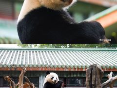 -广州动物园