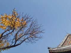 -香山公园
