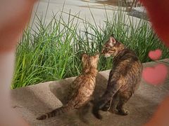 -谭记旺品(小谭山店)