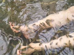 -龙达温泉生态城