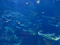 -欢乐海岸海洋奇梦馆