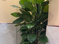 -鼎好家常菜(天桥店)