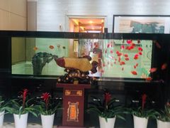 -雅和生态渔庄·宜城锅巴饭(龙灵山公园店)